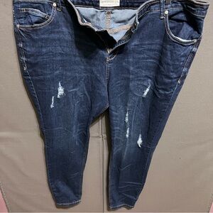 Eloquii Indigo Relaxed Fit Jeans Lot 5
